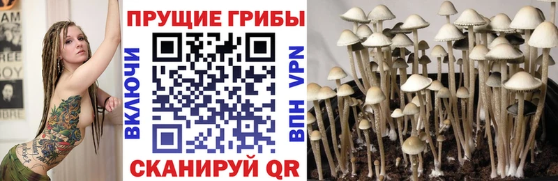 Псилоцибиновые грибы ЛСД  купить наркотик  Агидель 